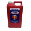 Holts Radiator Coolant RED-4L
